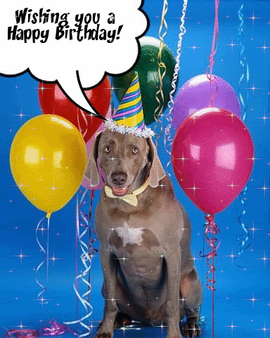 th_happy-birthday-dog-balloons-glitter.gif